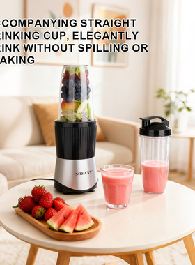跨境榨汁杯6合1家用料理机研磨绞肉辅食机水果蔬菜榨汁机SK-0304