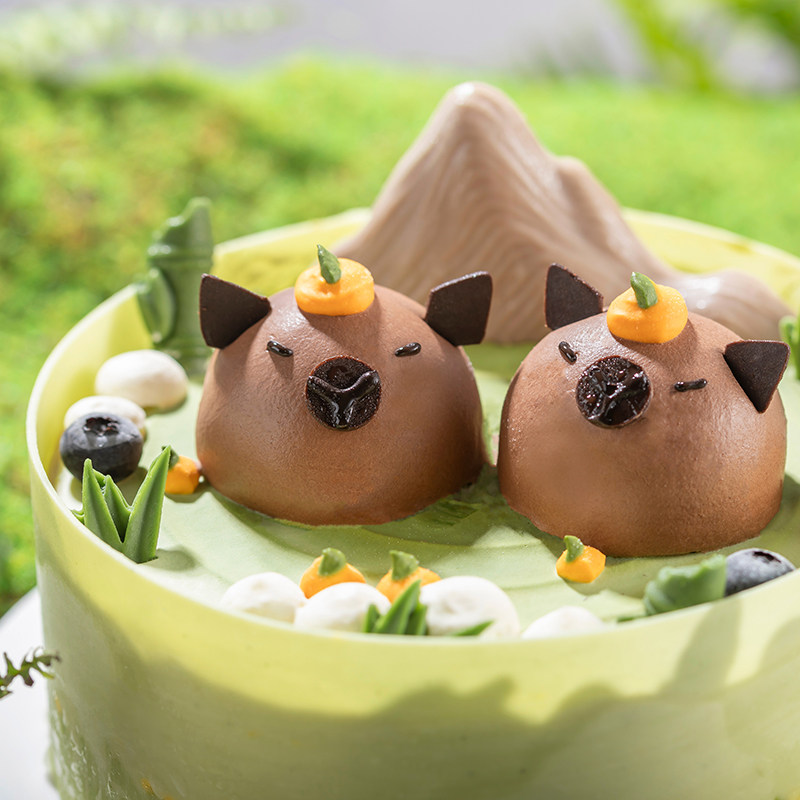 【水豚物语】森林童话动物造型蛋糕丰富夹层儿童生日蛋糕同城现做,淘宝优惠券,粉丝福利购,淘宝优惠卷