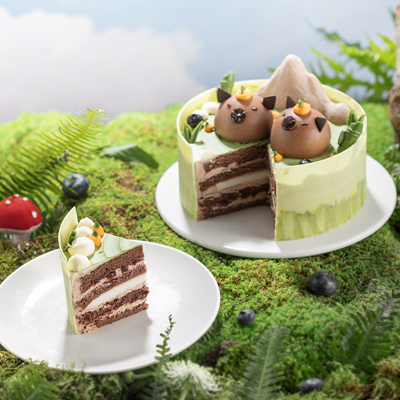 【水豚物语】森林童话动物造型蛋糕丰富夹层儿童生日蛋糕同城现做,淘宝优惠券,粉丝福利购,淘宝优惠卷