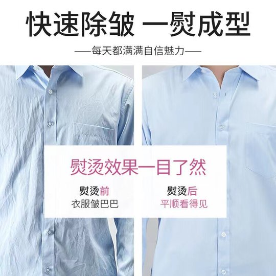 德国荣芝蒸汽挂烫机家用熨斗烫衣服商用手持熨烫机平挂两用立式