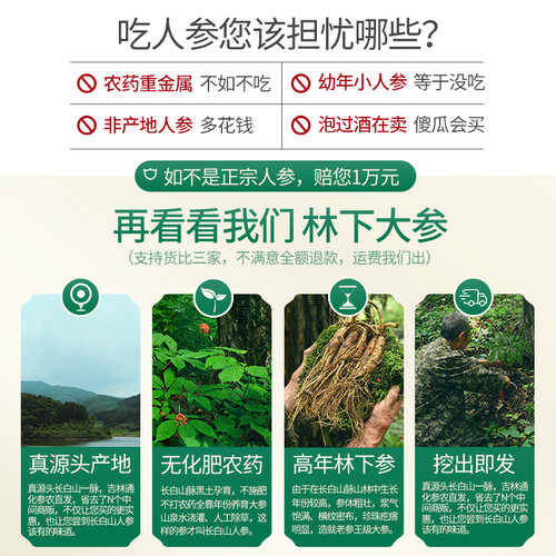 长白山鲜活人参加大2支鲜白参长白山新鲜人参泡酒煲汤佳选 - 图0