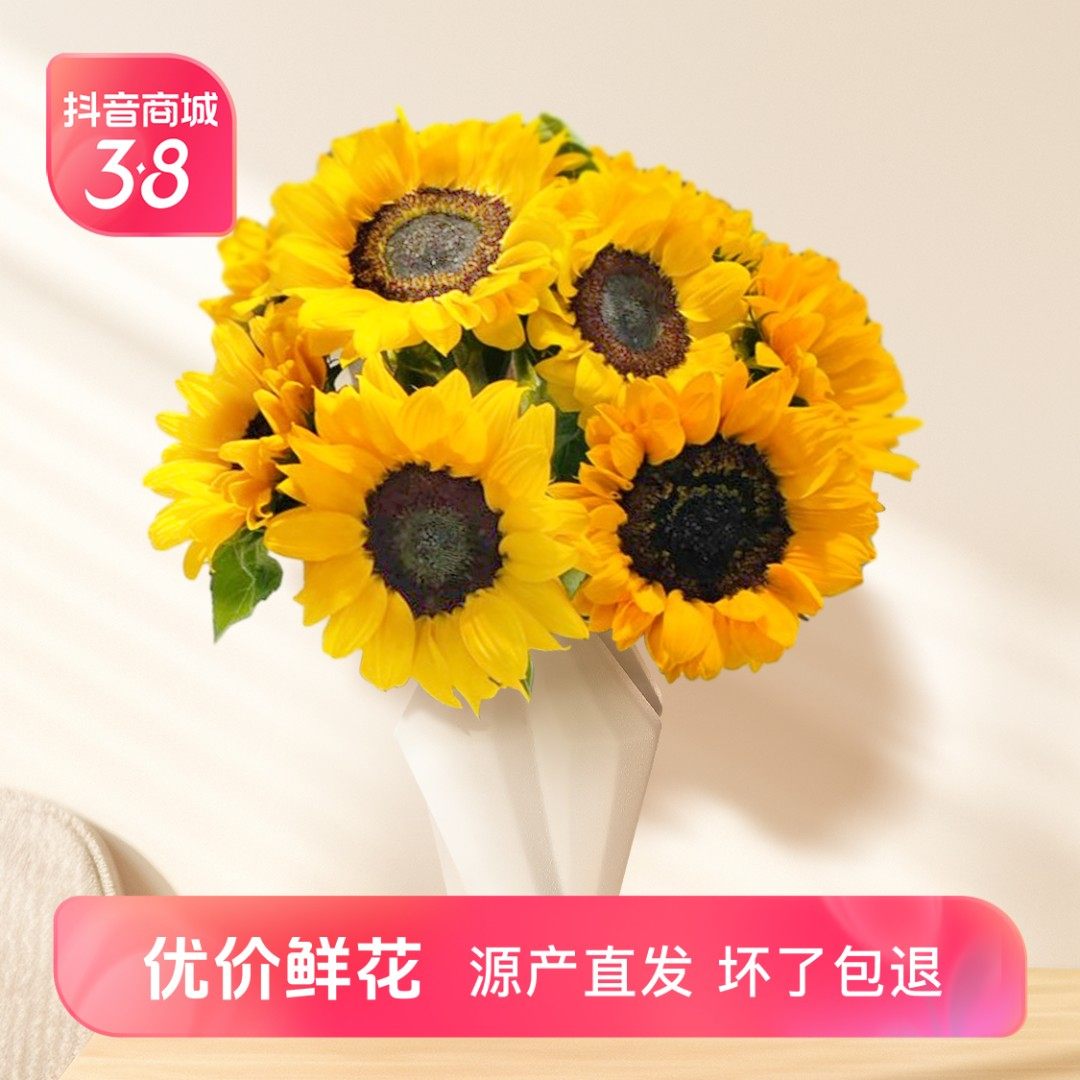 【向日葵基地】向日葵鲜花家庭插花瓶插养护 云南鲜花基地直发包,淘宝优惠券,粉丝福利购,淘宝优惠卷