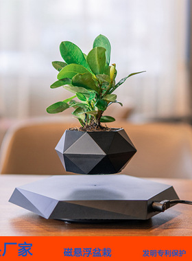 跨境磁悬浮盆栽花盆空中创意盆景植物花卉奇特ins风家居办公摆件