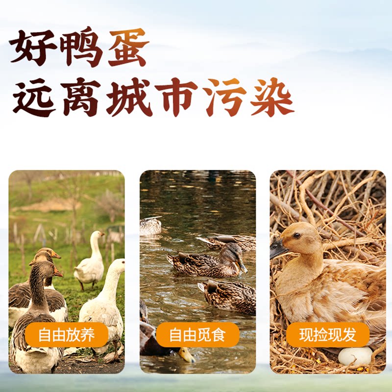 鲜生鸭蛋 正宗鄱阳湖散养鸭蛋 特大蛋 优选大个土鸭蛋麻鸭70-79g