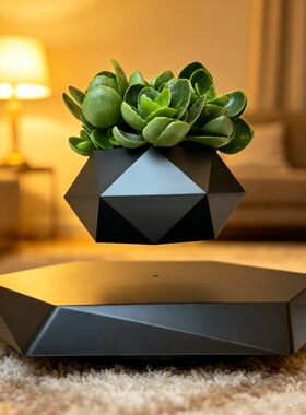 110v220v反重浮花盆办公桌摆件情绪稳定植物家居轻奢客厅玄关装饰