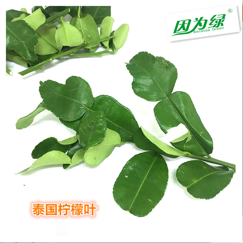 新鲜泰国柠檬叶 Kaffir Lime Leaf 新鲜 青柠叶 250g 冬阴功香料 - 图1