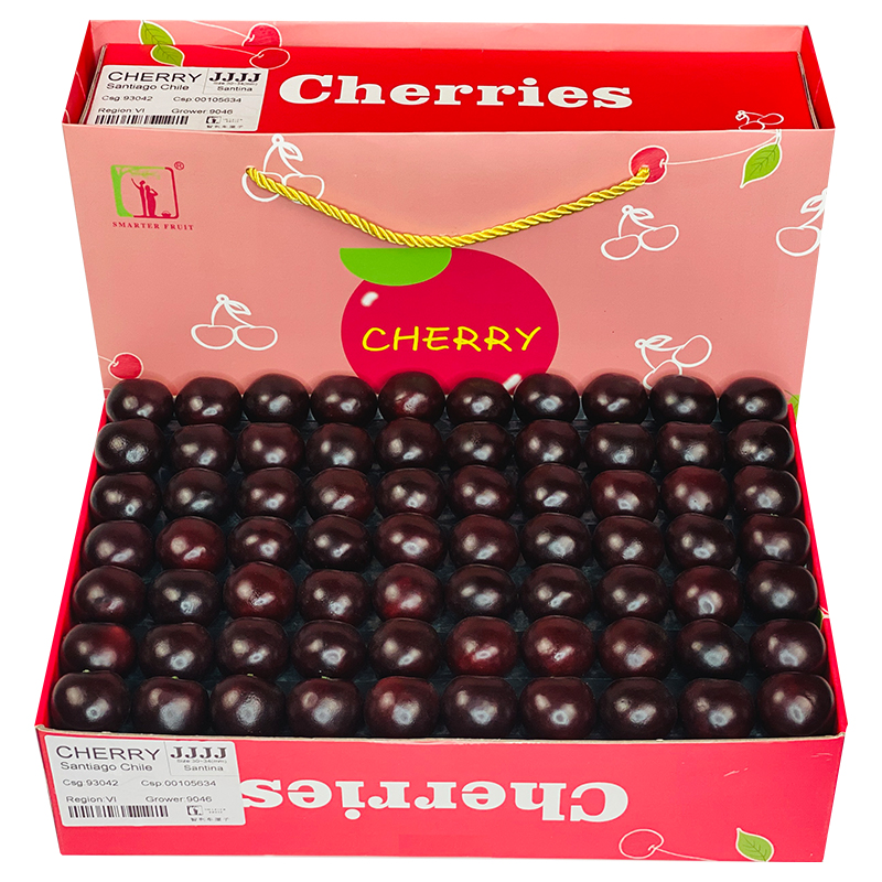 礼盒装2 /5斤5j大果大连大樱桃 伶俐果匠车厘子/樱桃