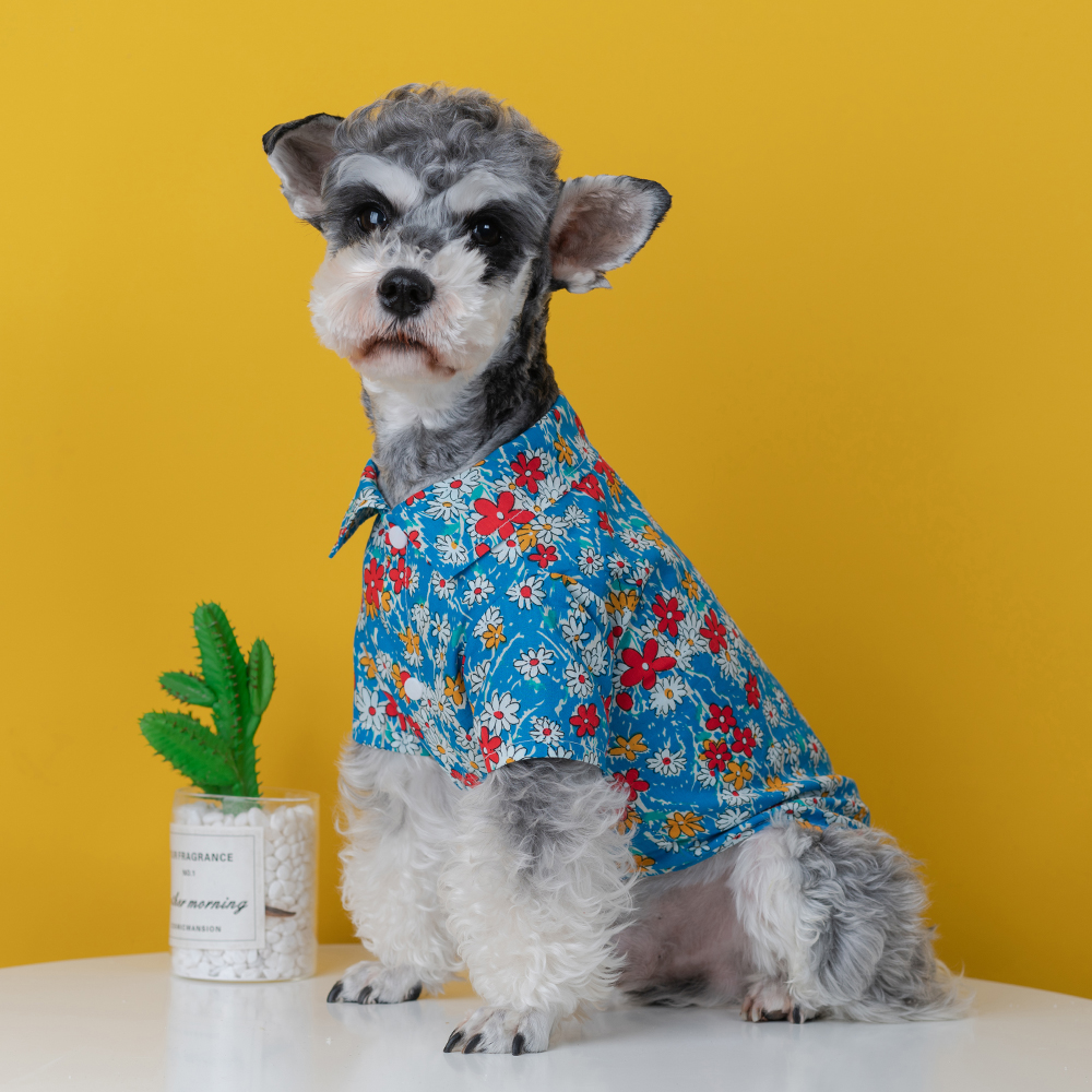 小清新狗狗衣服夏季薄款防掉毛泰迪比熊雪纳瑞小型犬宠物猫衬衫潮 - 图2