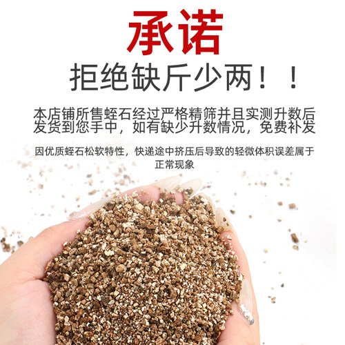 蛭石扦插用宠物孵化盆栽发根育苗种植土壤月季养花专用珍珠岩颗粒 - 图0