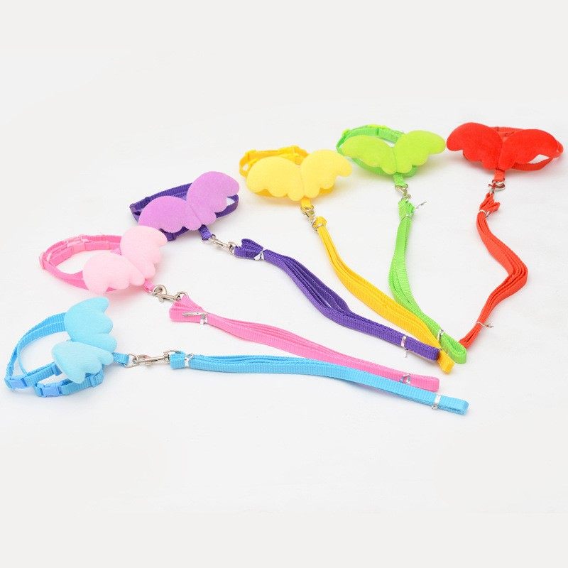 新款厂家直销小天使胸背带猫狗通用胸背绳子宠物牵引绳猫工字型绳,淘宝优惠券,粉丝福利购,淘宝优惠卷