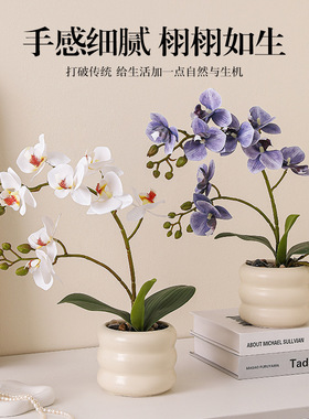 客厅出圈摆件家居乔迁礼物创意新居花猫桌面捧电视柜小装饰品玄关