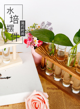创意水培玻璃摆件 创意玻璃试管花瓶水培容器办公室绿色装饰品