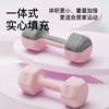 Dumbbell ladies fitness home equipment