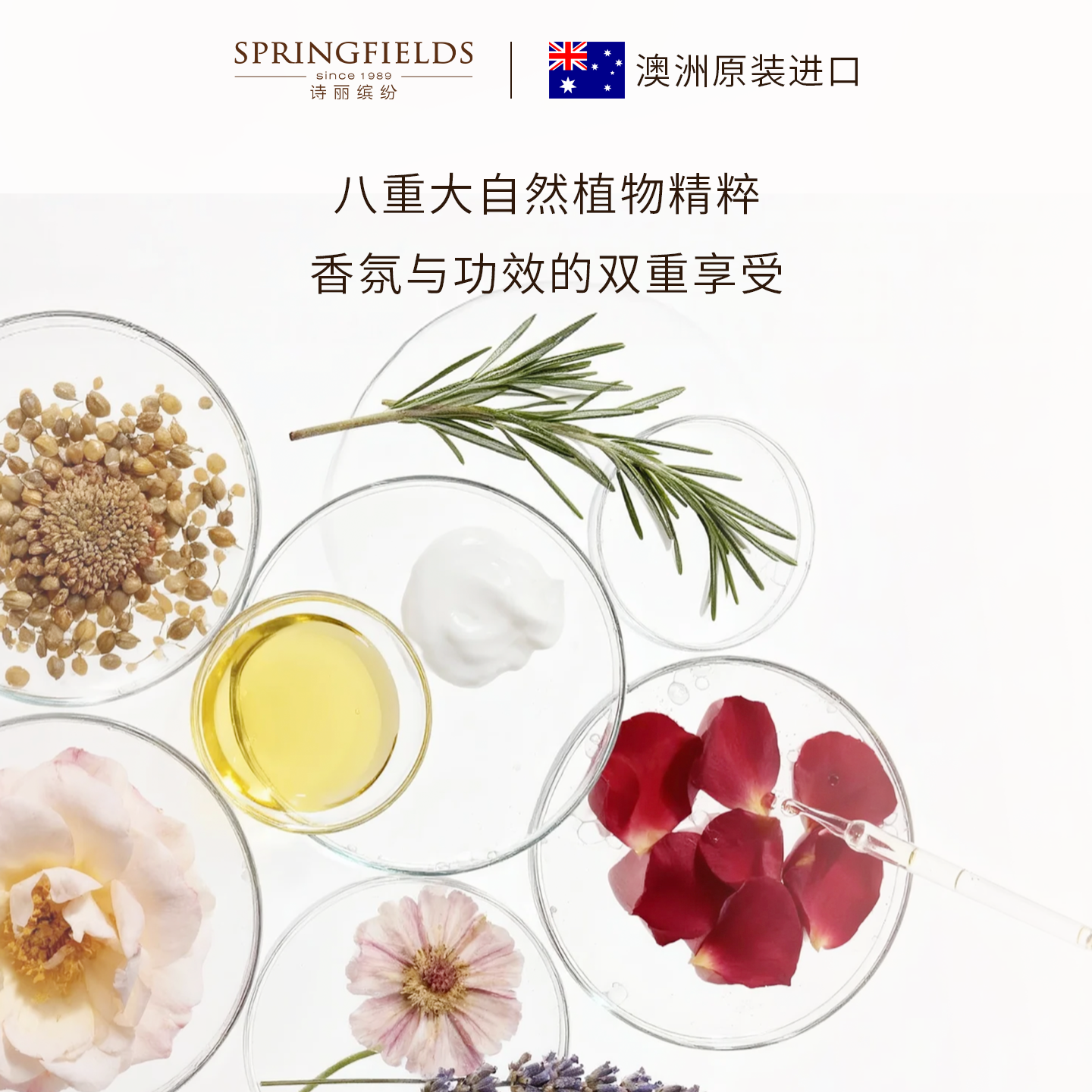 【临期】诗丽缤纷玫瑰赋活乳液护肤品保湿乳滋润紧致精华乳液补水