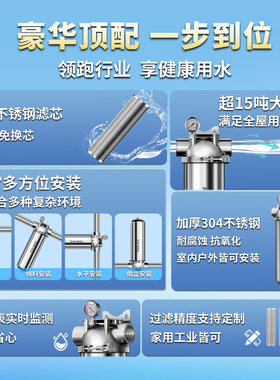 不锈钢自来水井水前置过滤器家用