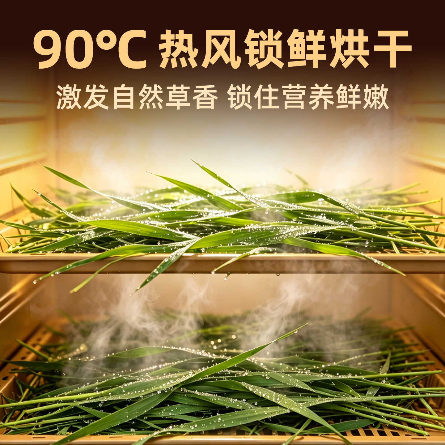 提摩西草烘干牛宠高纤维荷兰猪粮幼兔豚鼠粮兔子专用饲料提草兔粮