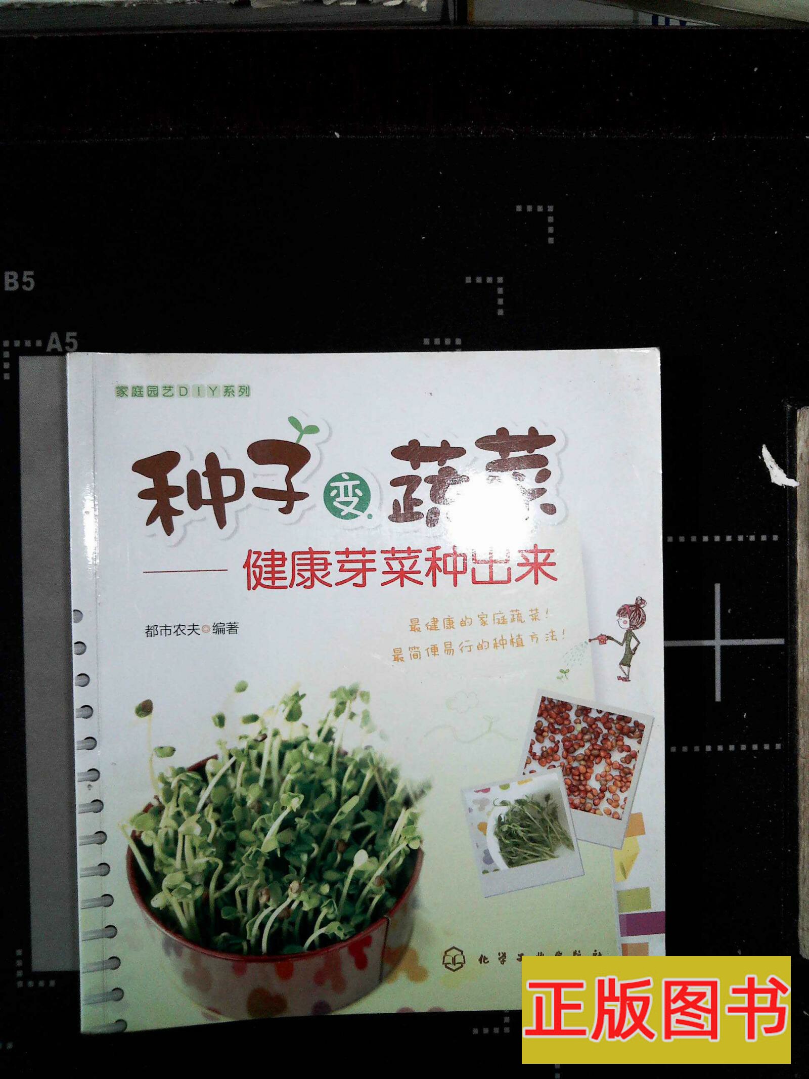 芥蓝种子 新人首单立减十元 21年8月 淘宝海外