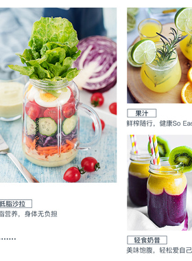 摩飞果汁机榨汁机MR95009200配件