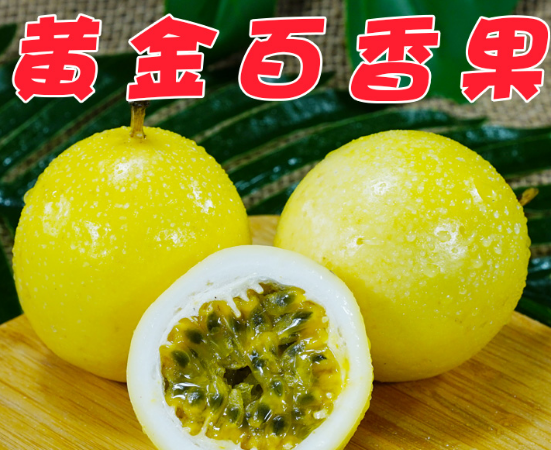 广西黄皮大果邮黄金百香果图片_2