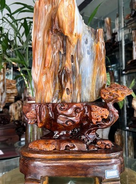 树化玉硅化木摆件冰种木化石400131客厅木化玉缅甸树化石客厅奇石