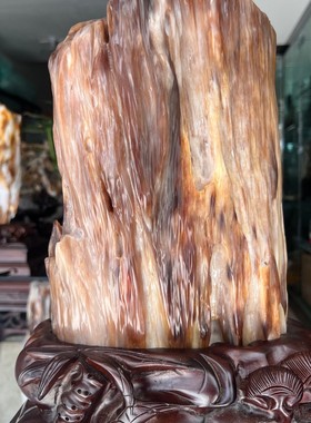 树化玉硅化木摆件冰种木化石128804客厅木化玉缅甸树化石客厅奇石