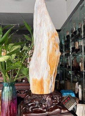 树化玉硅化木摆件冰种木化石128802客厅木化玉缅甸树化石客厅奇石