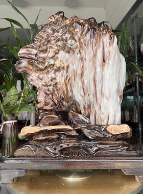 树化玉硅化木摆件冰种木化石400128客厅木化玉缅甸树化石客厅奇石