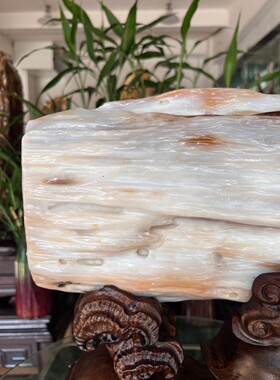 树化玉硅化木摆件冰种木化石400142客厅木化玉缅甸树化石客厅奇石