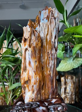 树化玉硅化木摆件冰种木化石128843客厅木化玉缅甸树化石客厅奇石