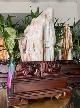 树化玉硅化木摆件冰种木化石128808客厅木化玉缅甸树化石客厅奇石