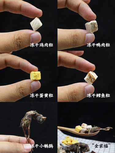 汪小七 冻干鸡肉粒鸭肉鳕鱼蛋黄粒全期狗零食猫零食幼猫成猫增肥 - 图2