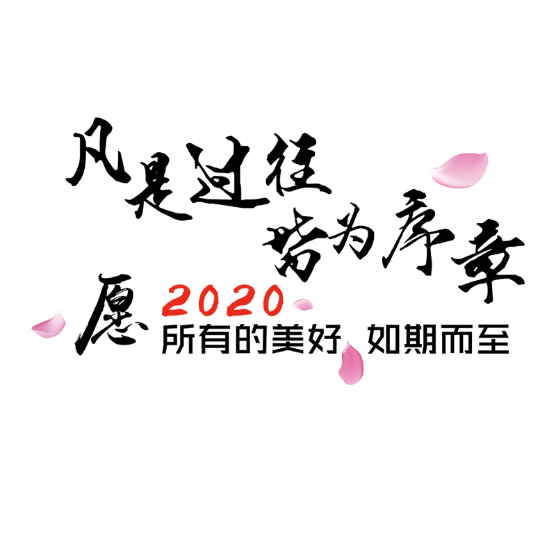 凡是过往皆为序章愿2020年所有的美好如期而至抖音网红汽车门车贴-图3