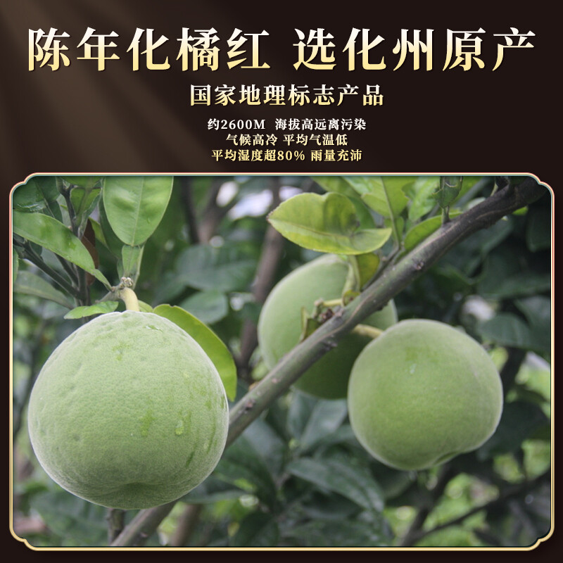 同仁堂内廷上用化橘红正宗化州陈年金毛胎果片橘红切片官方旗舰店,淘宝优惠券,粉丝福利购,淘宝优惠卷