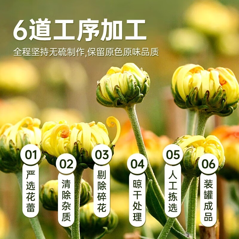 北京同仁堂胎菊菊花茶白菊杭凉茶叶花养生茶包特级正品官方旗舰店