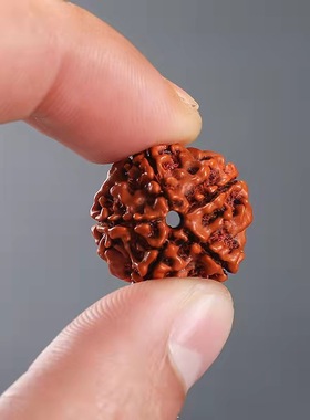 五瓣爆肉天然大金刚菩提单圈手串