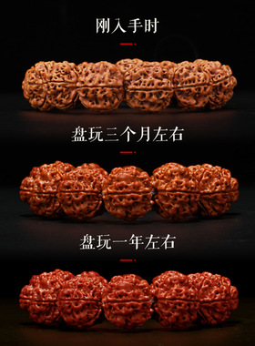 大金刚菩提子单圈文玩手串