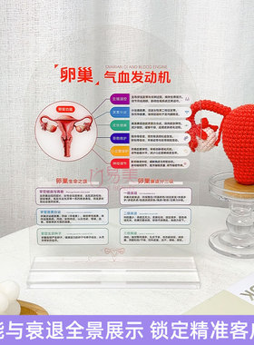 私密医美亚克力摆件卵巢气血乳晕色素管理分级咨询展示台店内装饰