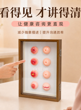 女性宫颈健康8种状态科普模型