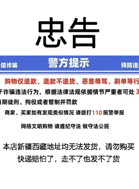 儿童遥控恐龙玩具动物会走路大号电动迅猛龙侏罗纪儿童生日礼物