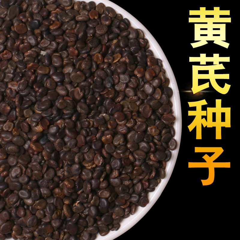 黄芪种子中药材内蒙黄芪种籽500克铁芪棉芪种植苗当归党参枸杞孑