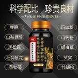 Устричный подлинный мужской женьшень олень