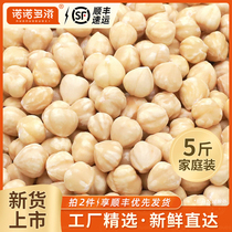 Original flavor hazelnut kernel Northeastern special production wild hazelnut hazelnut crushed baked commercial gizzhens hazelnut crushed nuts