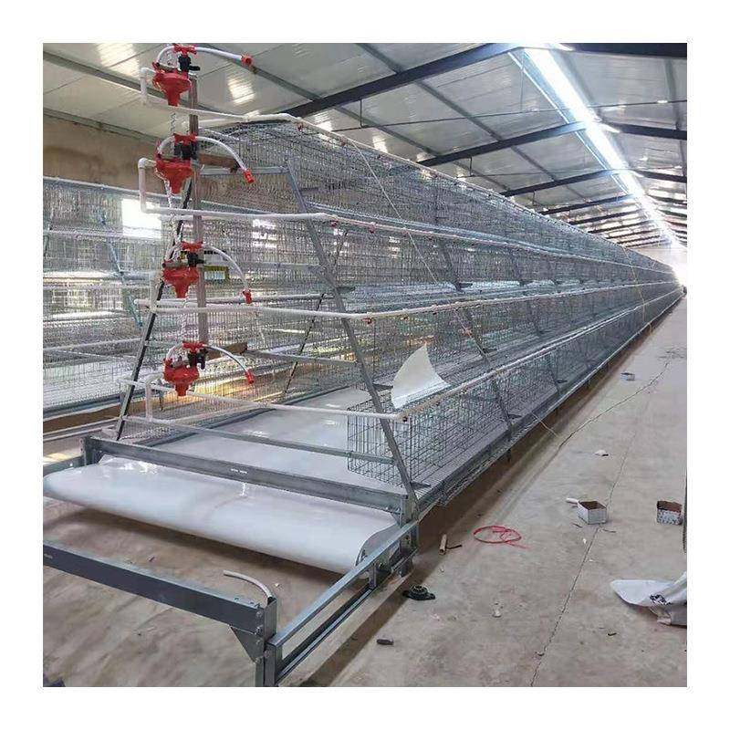 蛋鸡笼多层阶梯全自动清粪捡蛋喂料厂家热镀锌阶梯全自动蛋鸡笼,淘宝优惠券,粉丝福利购,淘宝优惠卷