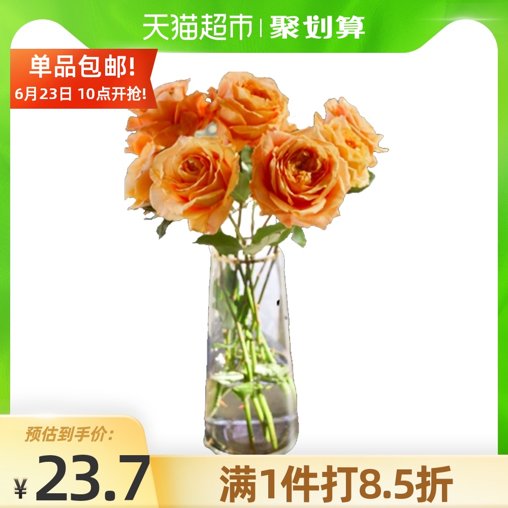 花品种推荐品牌 新人首单立减十元 21年6月 淘宝海外
