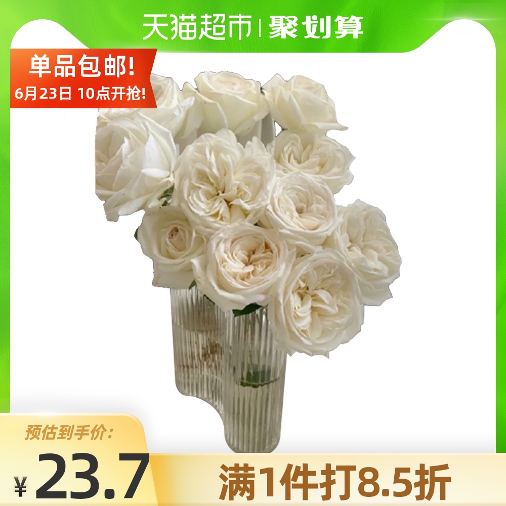 花品种推荐品牌 新人首单立减十元 21年6月 淘宝海外