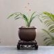 Purple Clay Flower Pot Household Succulent Flower Pot Wen Bamboo Basin Clearing