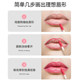 Disposable lip brush stick portable smudge brush
