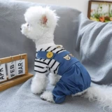 Одежда для собак, осенняя и зимняя четвероногий одежда, может потянуть Медведь Тедди Бишон, Шнаузер, маленькие домашние животные, предотвратить выпадение волос