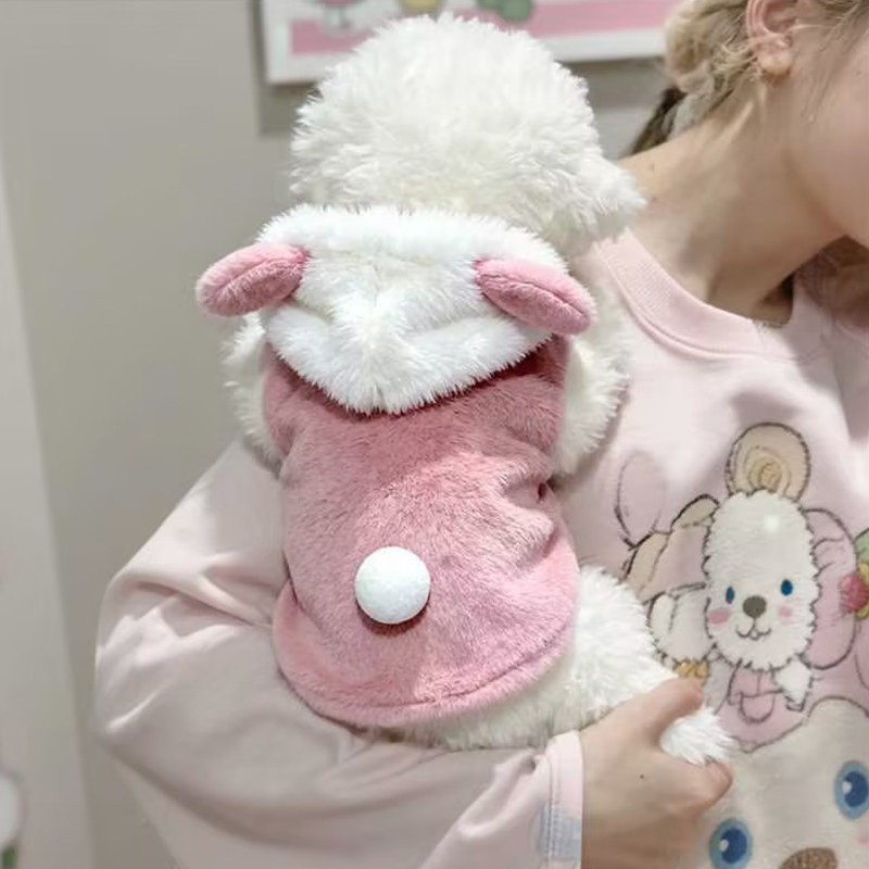 猫咪衣服秋冬加绒保暖可爱耳朵卫衣银渐层布偶防掉毛狗狗棉衣加厚,淘宝优惠券,粉丝福利购,淘宝优惠卷