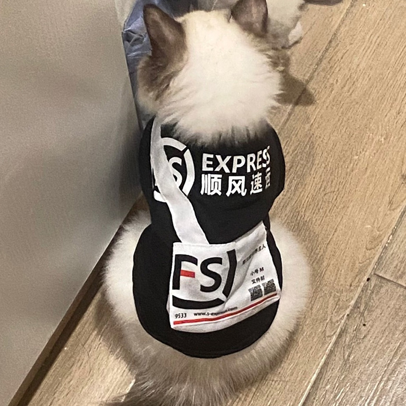 猫咪衣服快递外卖背包薄款英短布偶蓝猫银渐层幼猫宠物狗狗搞笑装 - 图1